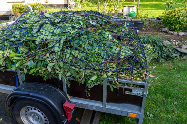 Best Carpet Removal and Disposal  in Boaz, WV